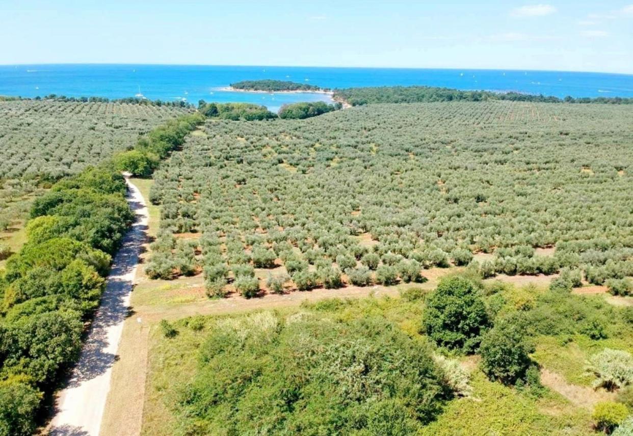 Apartments Vojvoda Porec Ngoại thất bức ảnh
